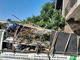 Best Electronics and E-Waste Disposal  in Walnut, CA